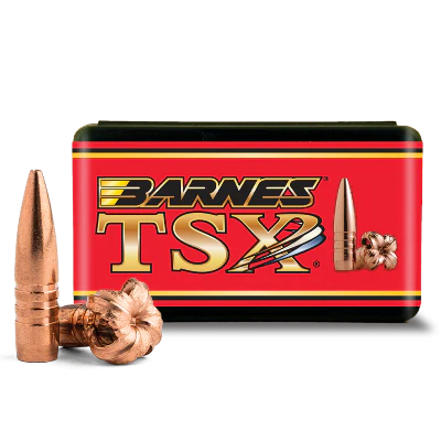 Barnes 338cal 210gr TSX BT #30410