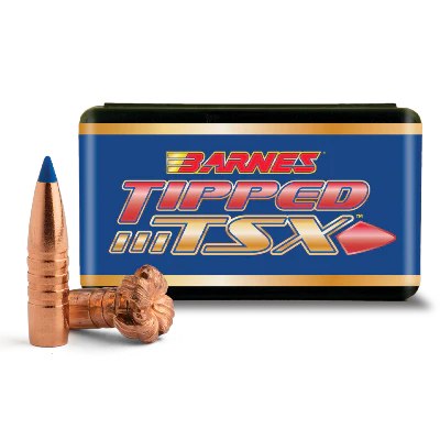Barnes 45cal 250gr TTSX BT #30996