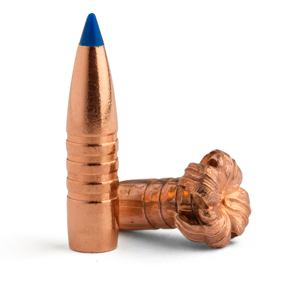 Barnes 45cal 300gr TTSX BT #30642 - Image 2