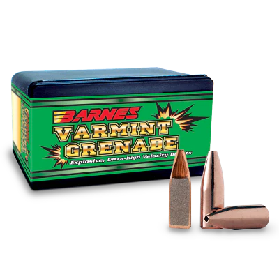 Barnes 6mm 62gr HP FB