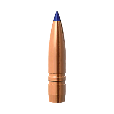 Barnes 6mm 95gr LRX #30862 - Image 2