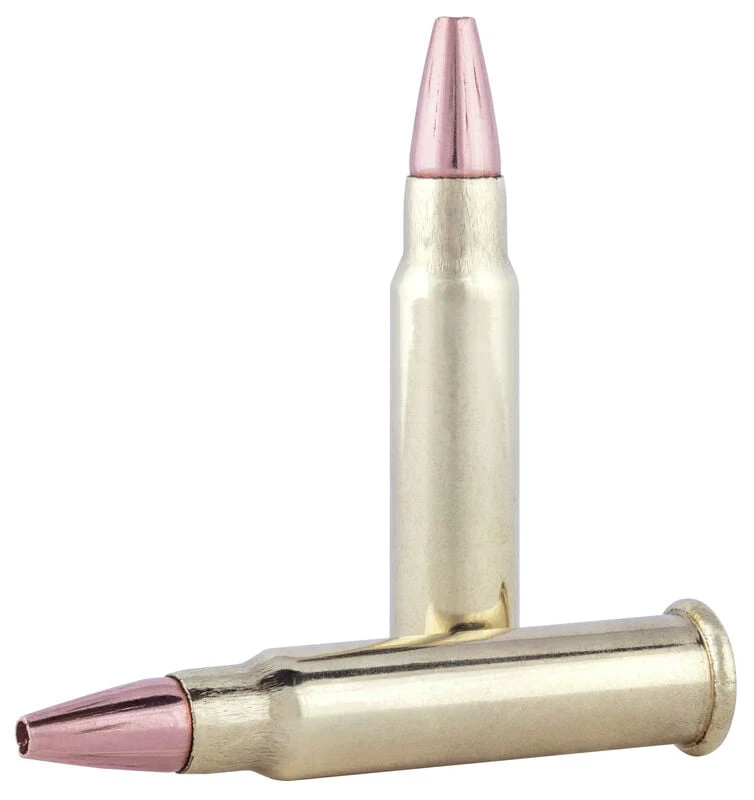Federal Varmint & Predator 17 HMR 17gr TNT - Image 2