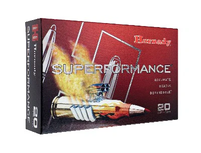 Hornady 243 Win 95gr SST