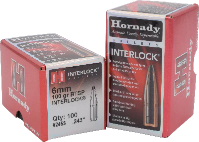 Hornady 6mm 100gr BTSP #2453
