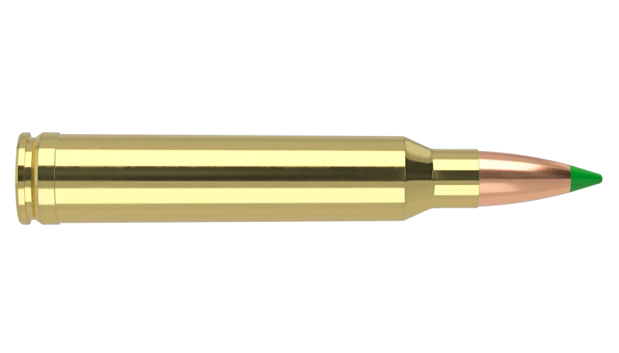 Nosler 300 Win Mag 180gr Ballistic Tip - Image 2