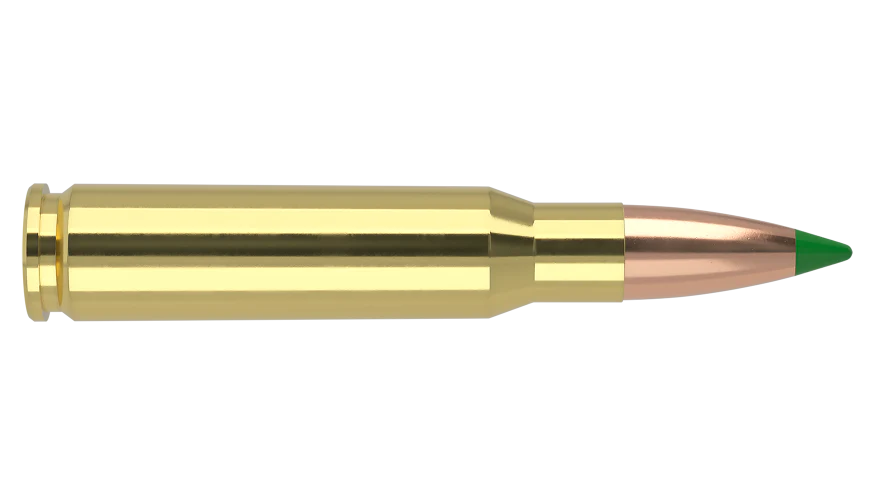 Nosler 308 Win 125gr Ballistic Tip - Image 2