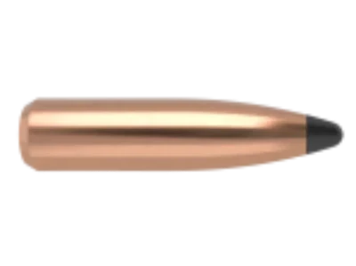 Nosler 6mm 100gr Partition #35642 - Image 2