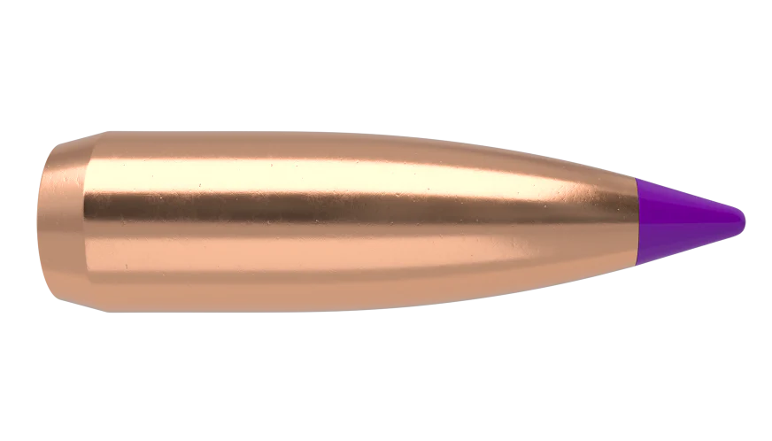 Nosler 6mm 70gr Ballistic Tip #39570 - Image 2