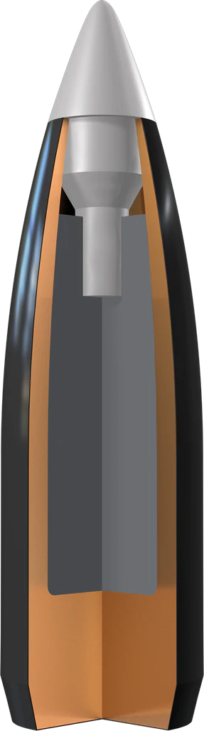 Winchester 22-250 Rem 55gr Ballistic Silvertip - Image 3